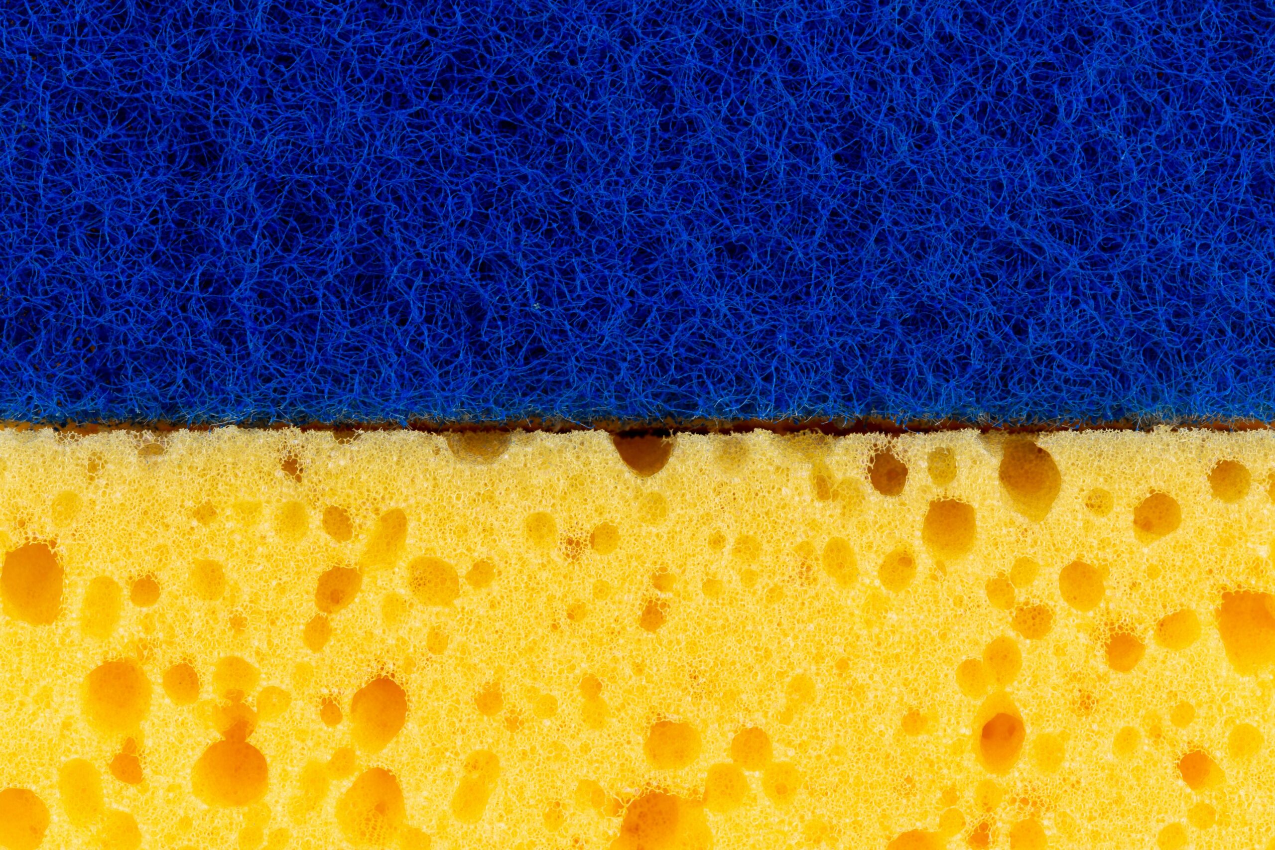 A collection of blending brushes and beauty sponges displayed on a vanity