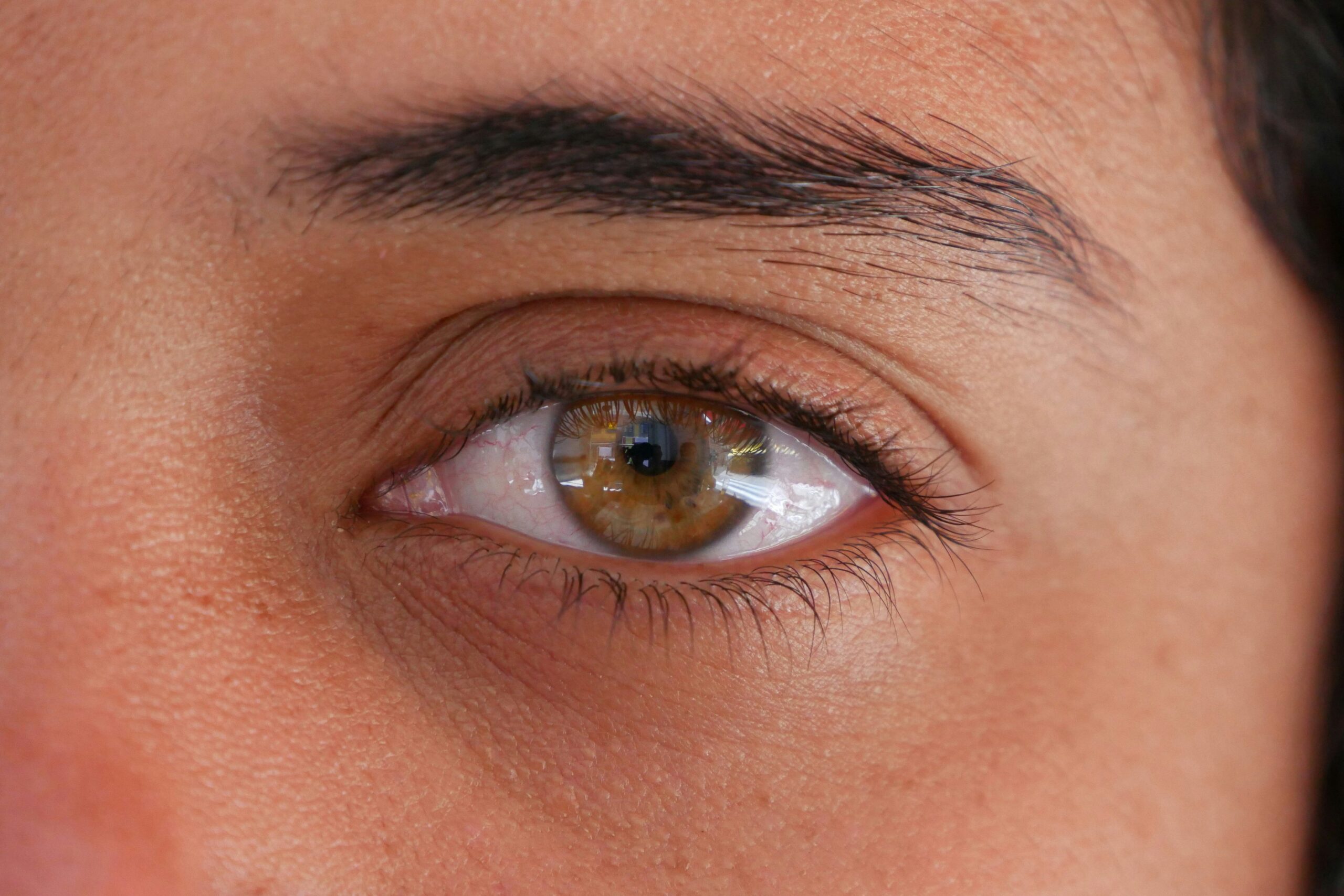 A high-quality image showing a matte eyeshadow palette containing earthy tones arranged neatly inside its compact case.