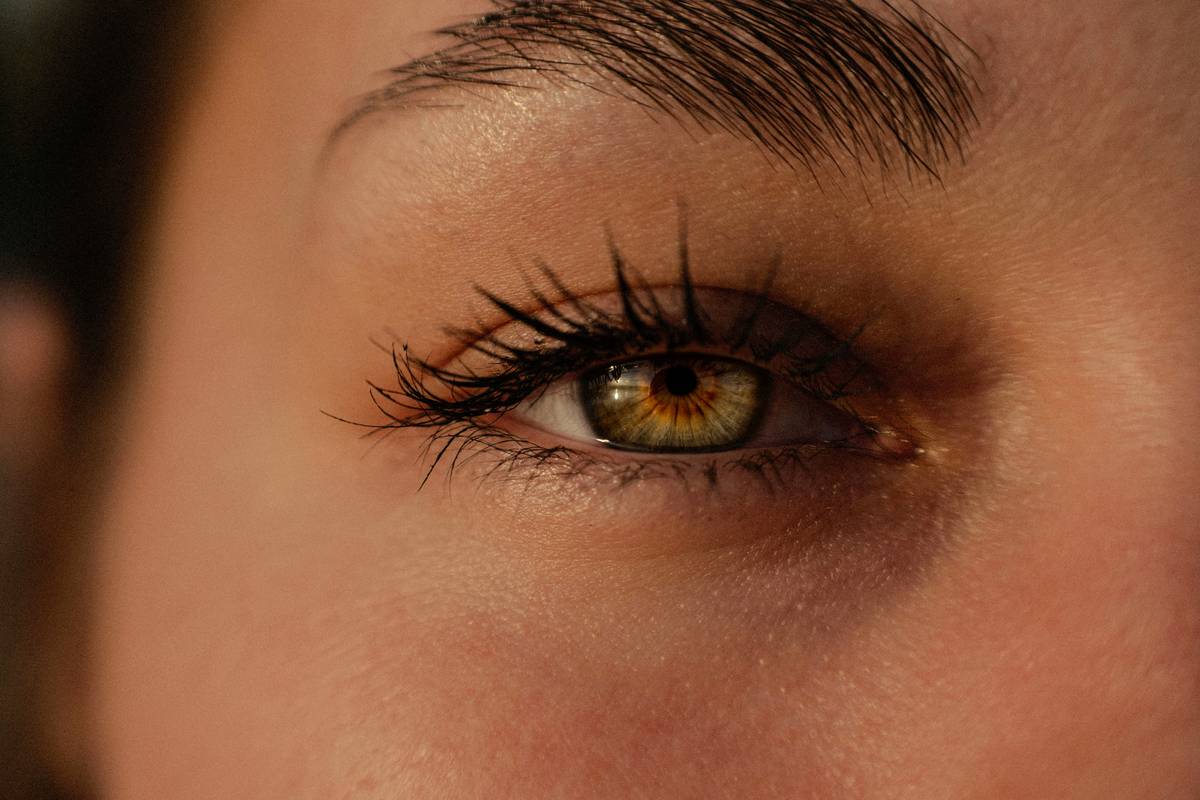 Mastering Warm Tone Eyeshadow: The Ultimate Guide to Glow Like a Golden Goddess
