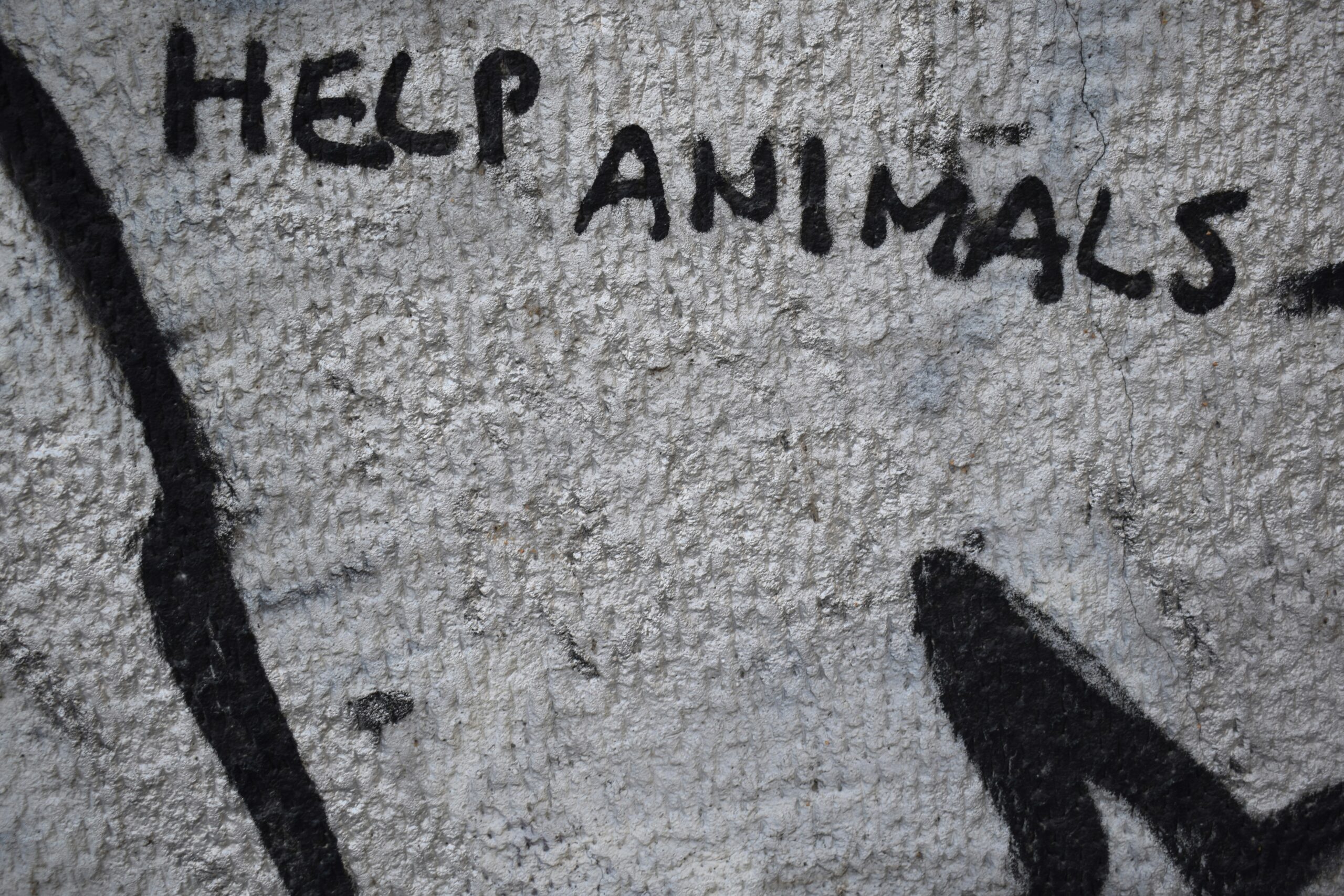 a wall that has some writing on it