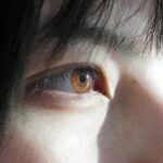 Why Your Makeup Routine Needs a Vivid Eyeshadow Palette (Even If You're Not a Pro)